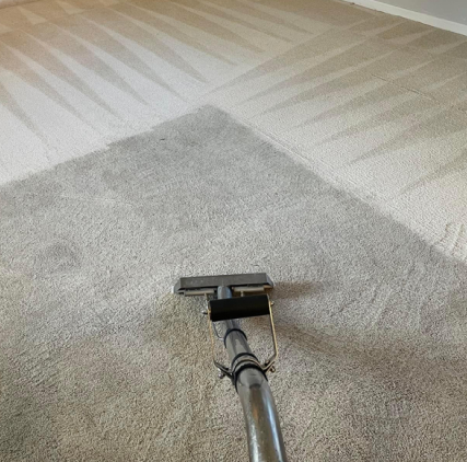brown carpet before and after cleaning