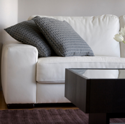 professional upholstery cleaning services Michigan